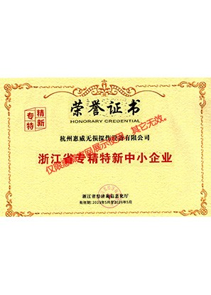 Zhejiang Province Specialized, Refined, Special, and New Small and Medium sized Enterprises